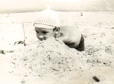 12.gif (167607 bytes)